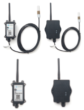 S31/S31B-LB / LS